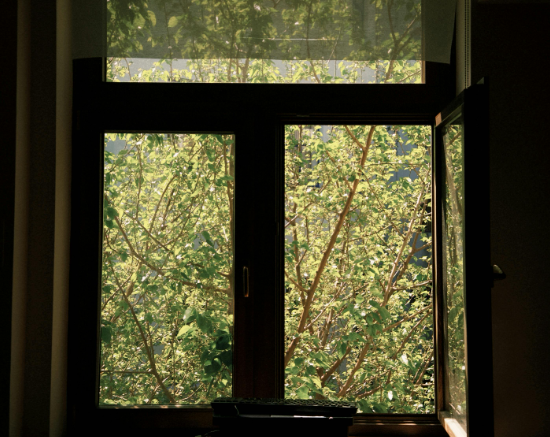 Langų montavimas Vilnius: modernių sprendimų svarba